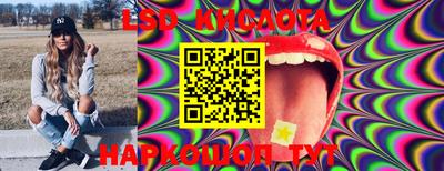 mdpv Камышлов