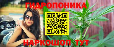 ALPHA PVP Кандалакша
