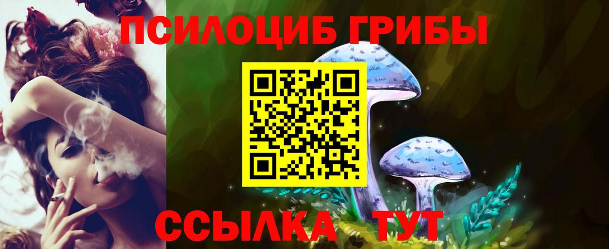 Кызыл  Галлюциногенные грибы Psilocybe  Вход с VPN  Псилоцибиновые грибы Cubensis 